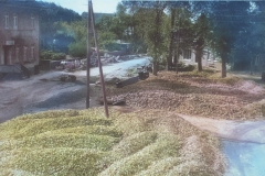 Emstek-historisch-240