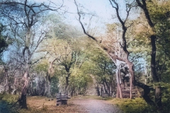 Emstek-historisch-278