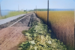 Emstek-historisch-284