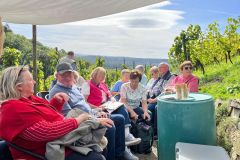 11-weinberg-gesellige-runde